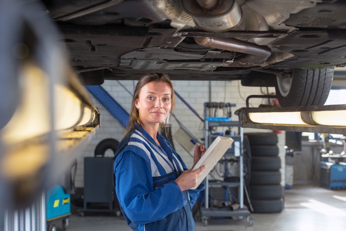 Occasion kopen vraag om hulp bij een expert Driving-Dutchman